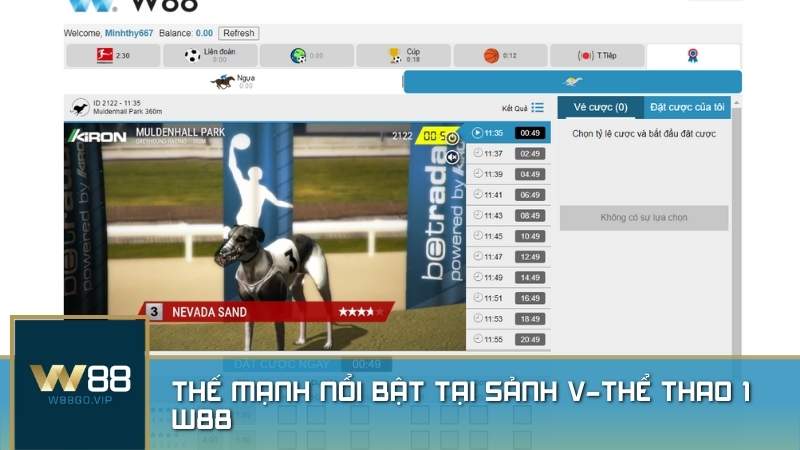 Những thế mạnh nổi bật tại sảnh v-Thể Thao 1 W88
