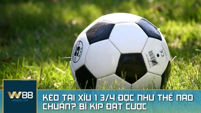 Kèo tài xỉu 1 3/4 đọc như thế nào chuẩn? Bí kíp đặt cược “bách chiến bách thắng”