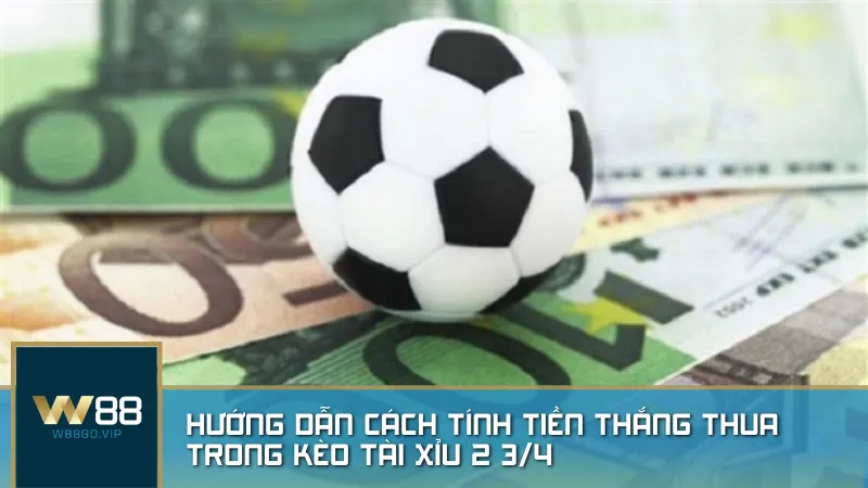 Hướng dẫn cách tính tiền thắng thua trong kèo tài xỉu 2 3/4