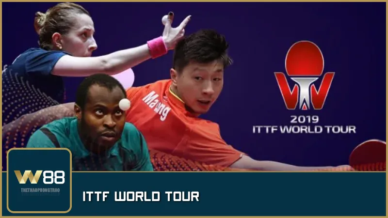 ITTF World Tour – hệ thống giải đấu chuyên nghiệp toàn cầu, bệ phóng cho những ngôi sao bóng bàn vươn tầm thế giới.